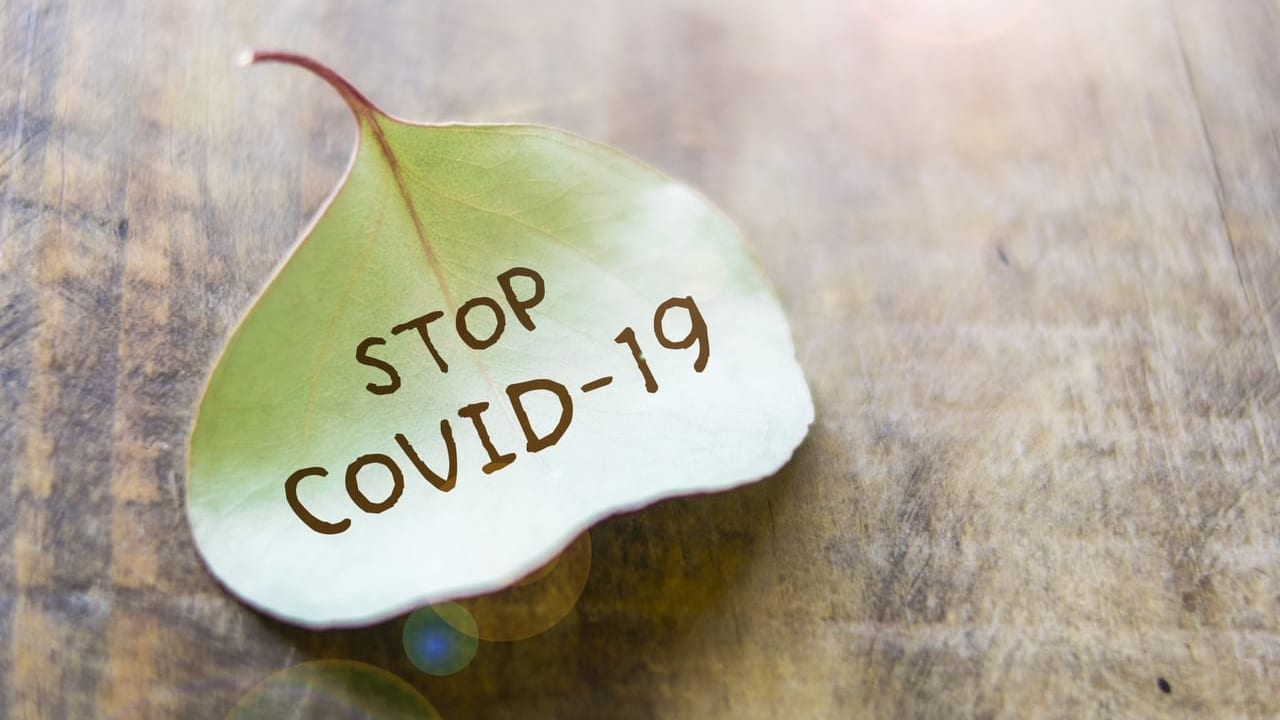 「STOP COVID-19」と書かれた葉