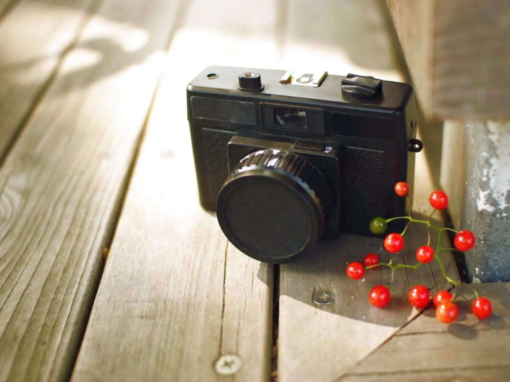 黒いカメラと赤い実