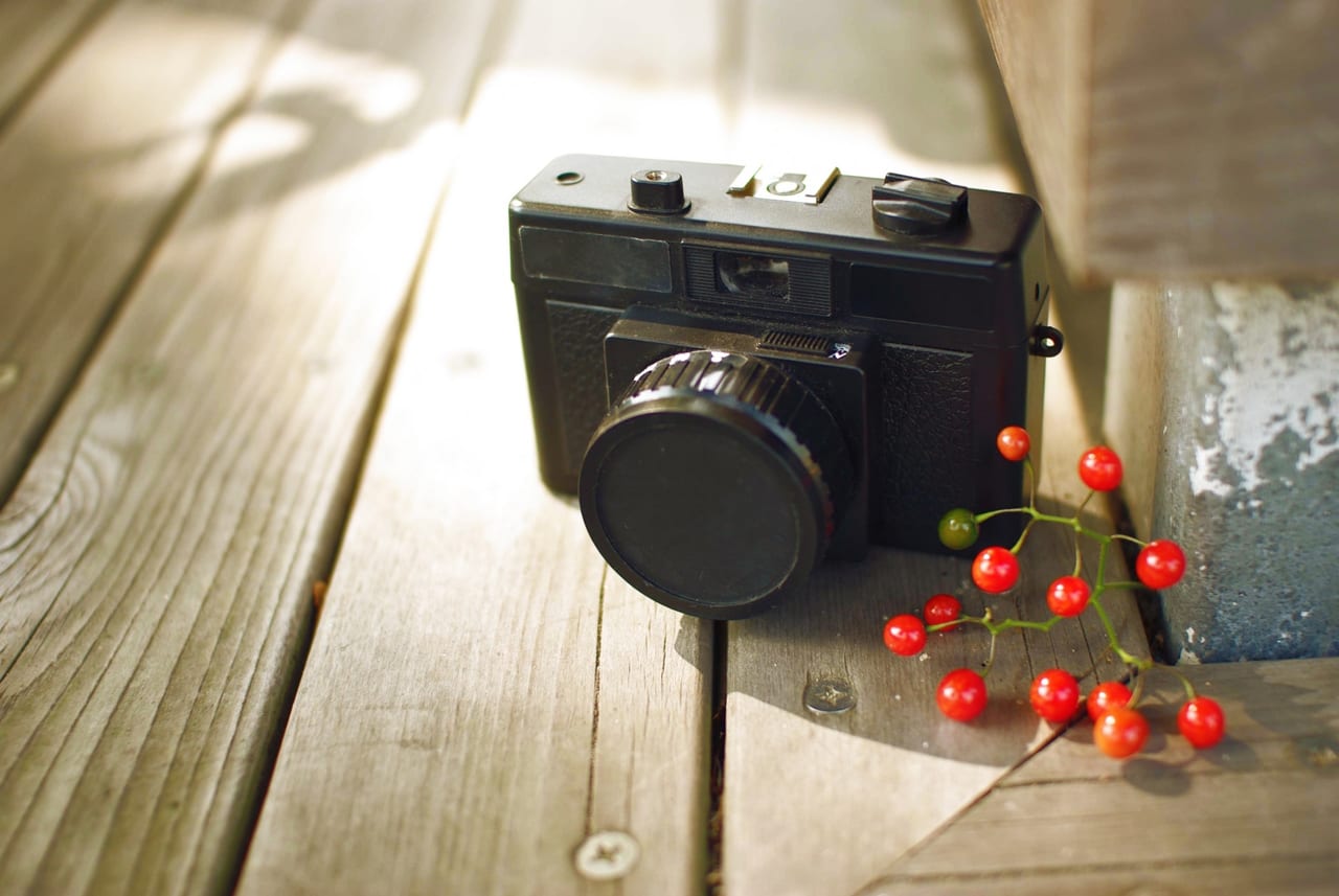 黒いカメラと赤い実