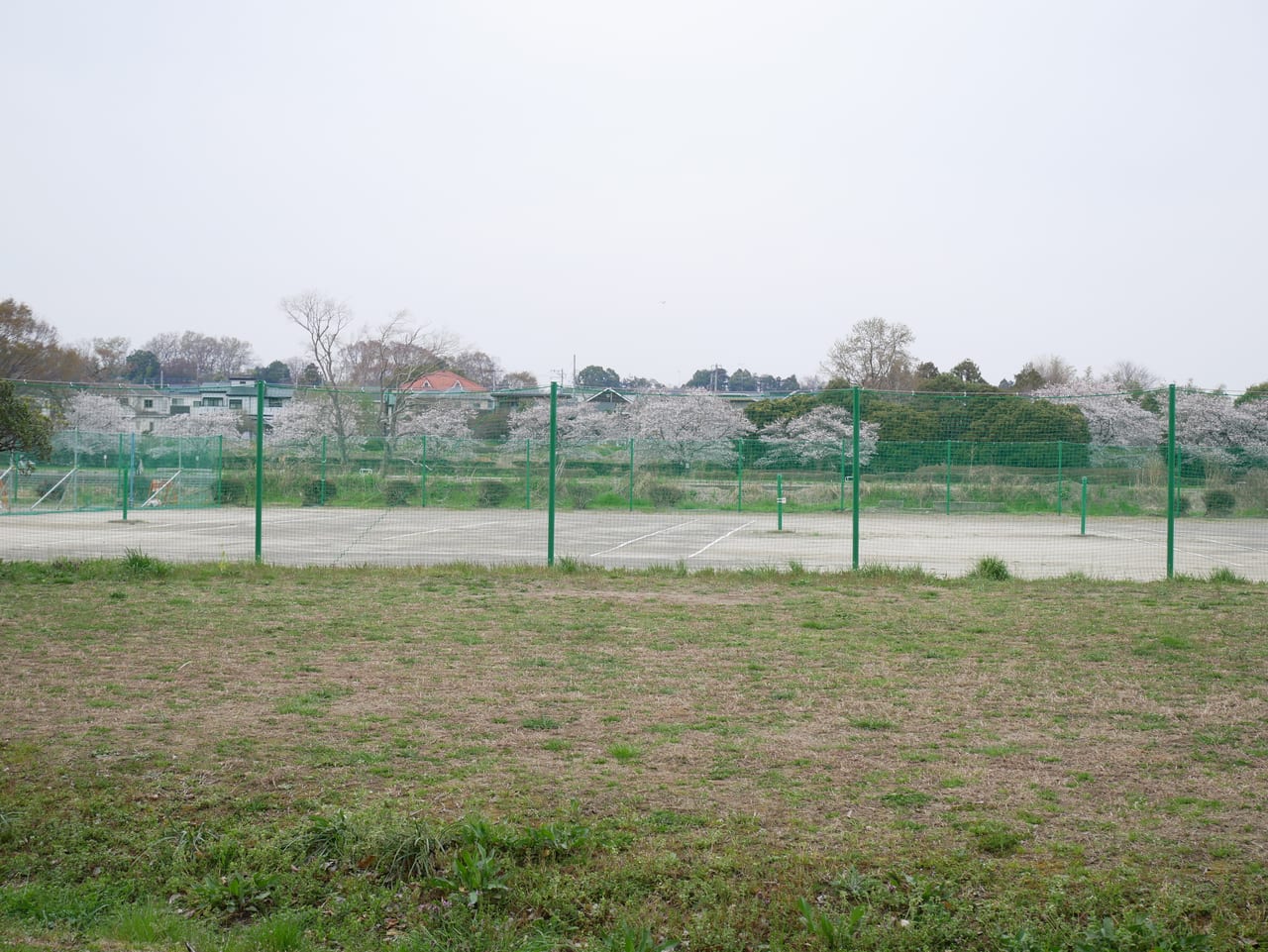 黒須市民運動場のテニスコート