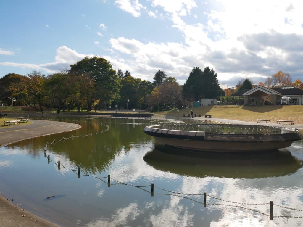 彩の森入間公園の噴水