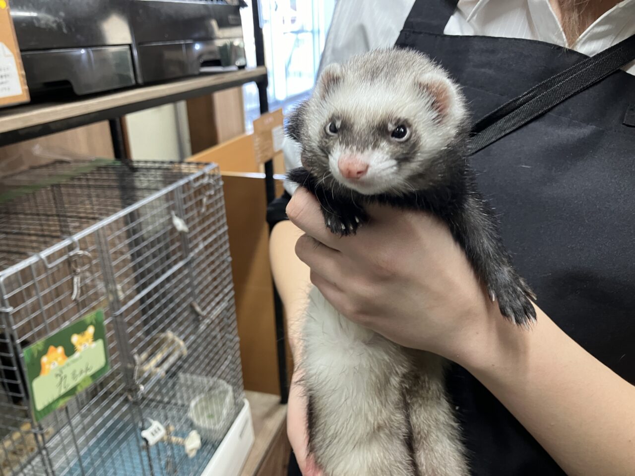 狭山ふれあい動物園