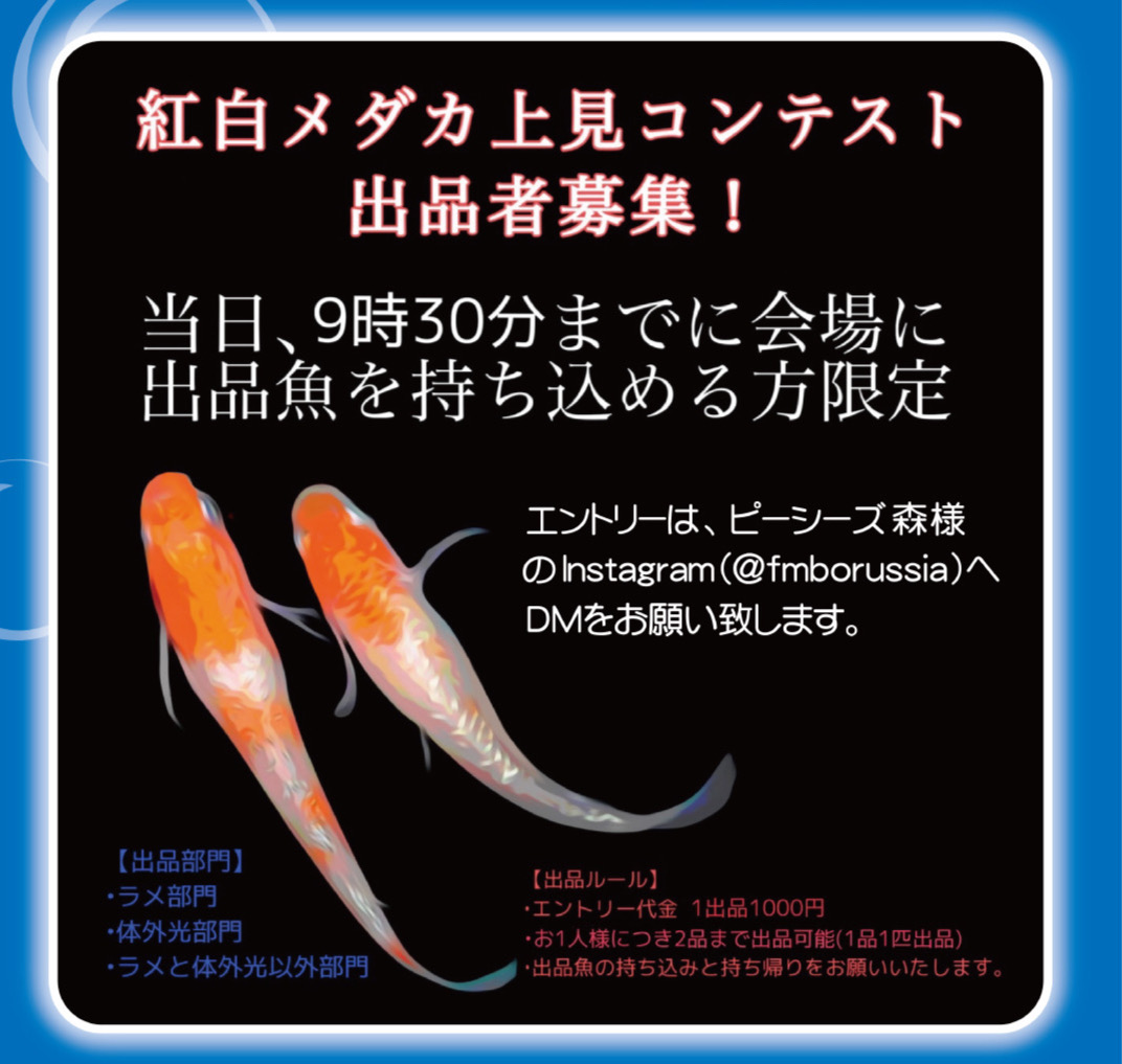 入間めだか祭2025