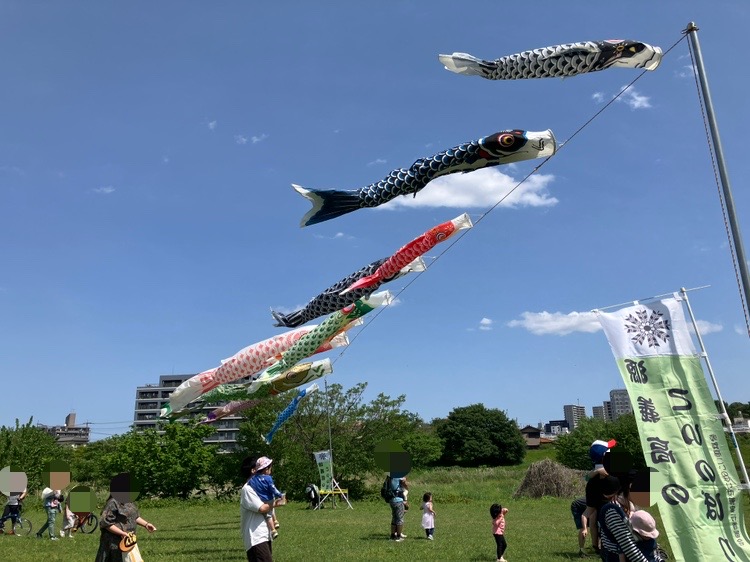 義高のこいのぼり