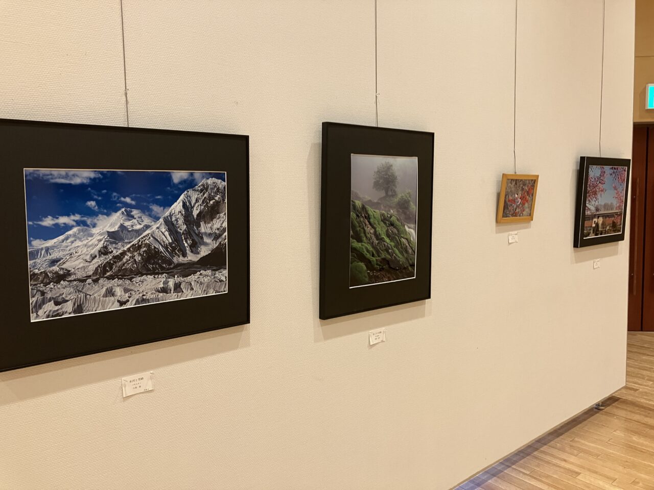 狭山市民展