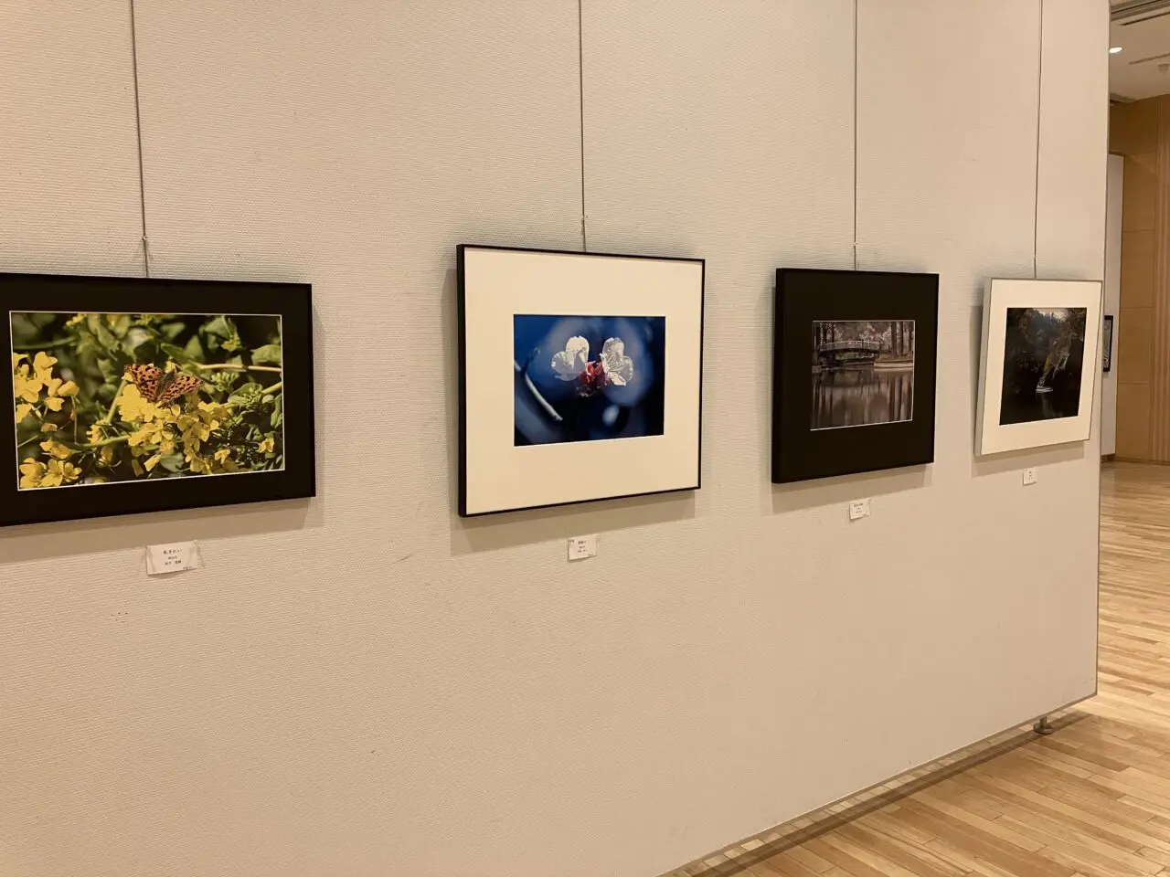 狭山市民展