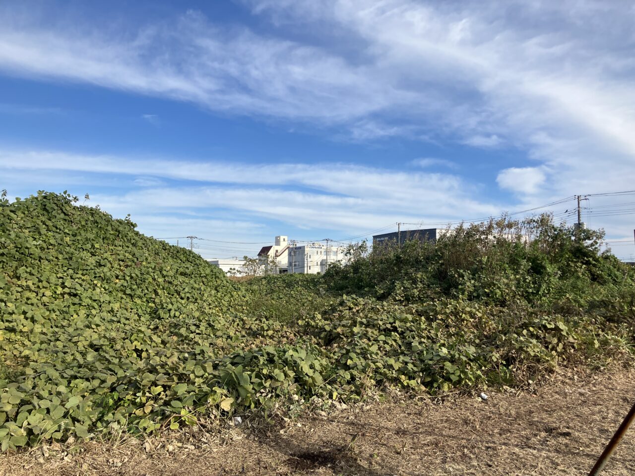 スーパー×公園