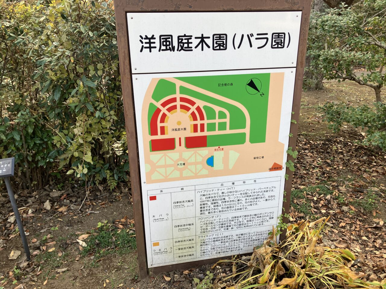 バラ園