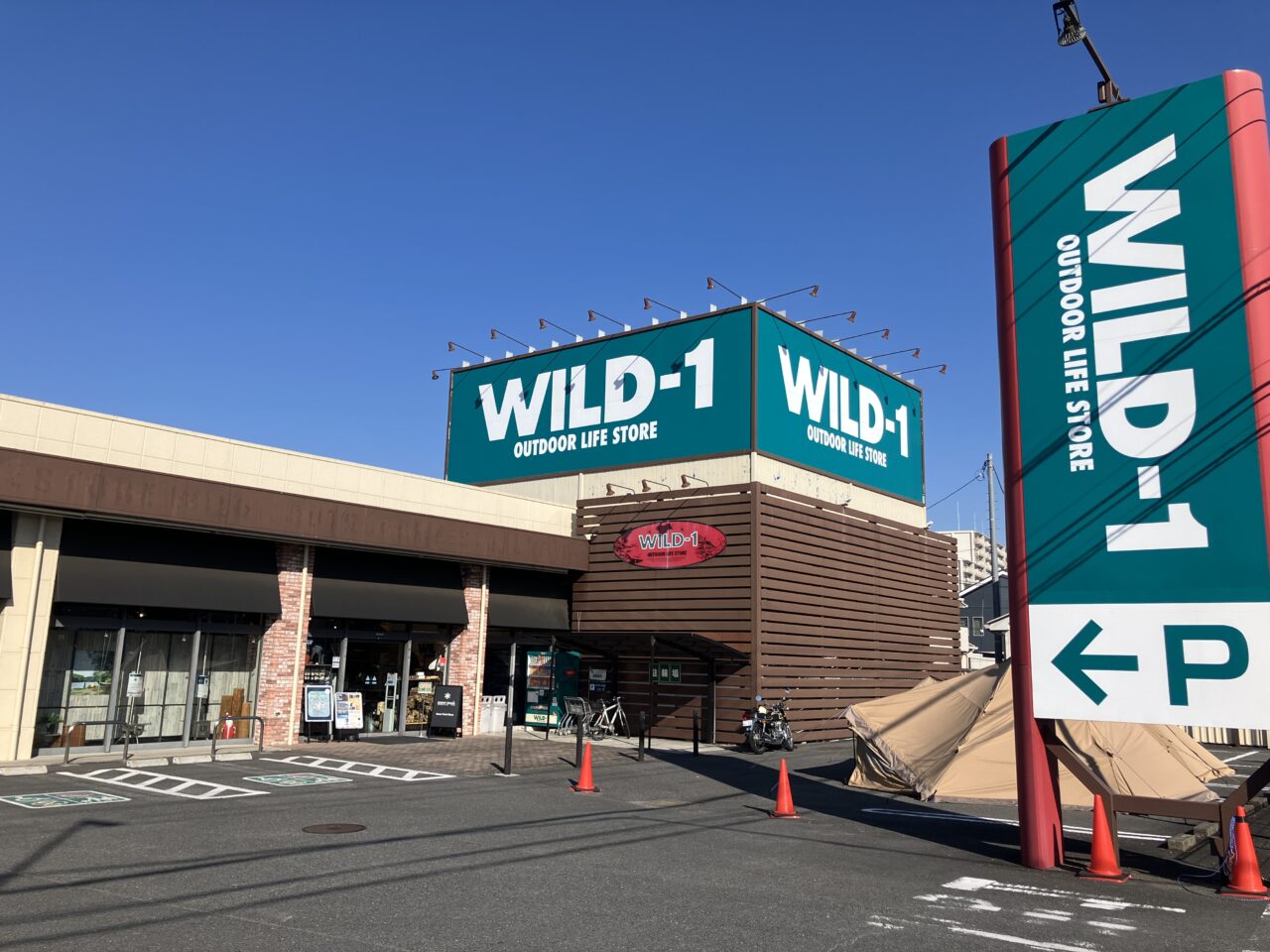 WILD-1入間店