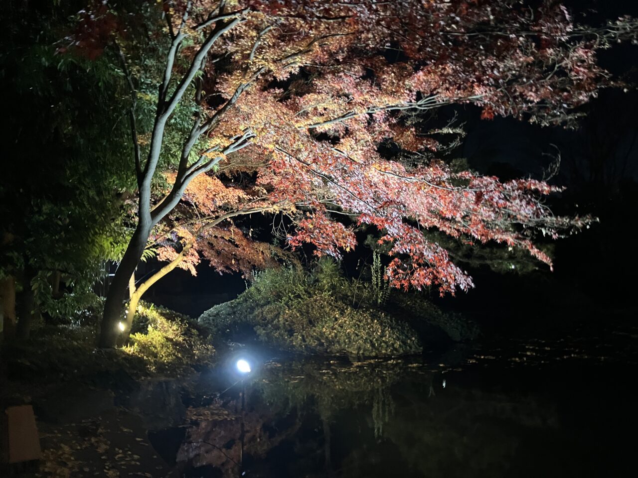 愛宕公園の紅葉