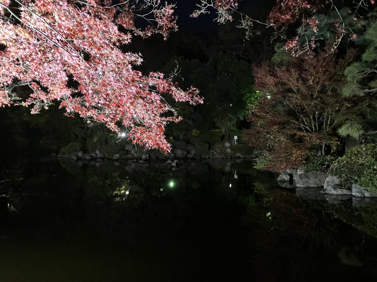 愛宕公園の紅葉