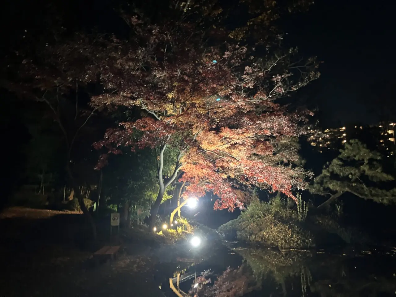 愛宕公園の紅葉